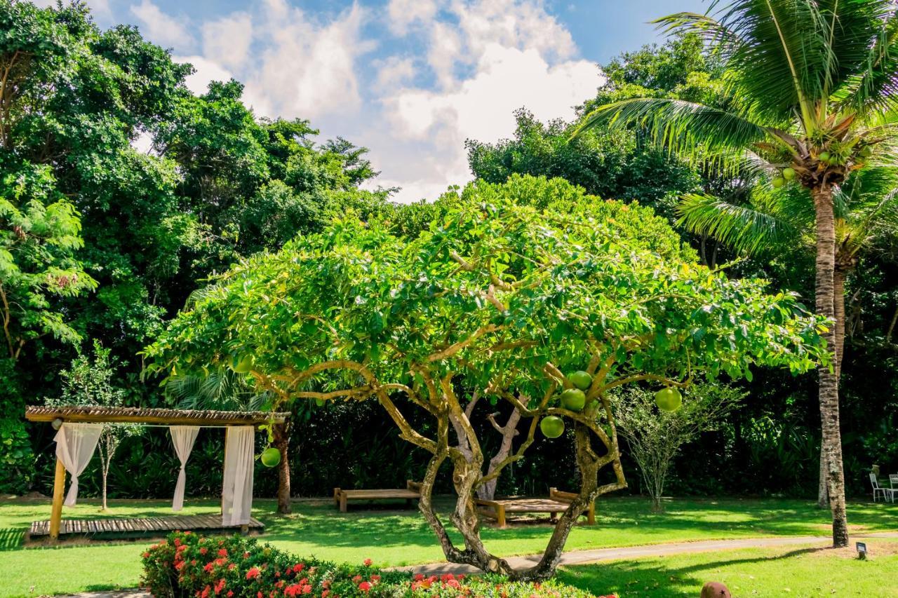 Bosque Do Porto Praia Hotel بورتو سيغورو المظهر الخارجي الصورة